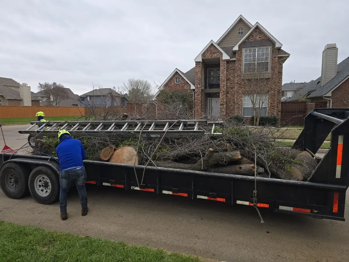 Expert Lot Clearing with proper safety equipment in Evans